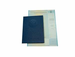 Диплом специалиста с 2009 по 2011 годы образец 4